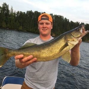 Meet your Posher, Alex